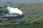 Leander on Lunds Viaduct - Chris Taylor